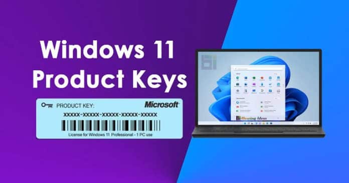 image showing windows 11 product key