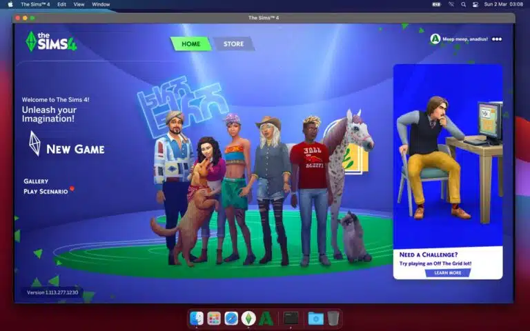 Anadius Sims 4 Updater and DLC Unlocker Image showing Anadius Sims 4 updater and DLC unlocker