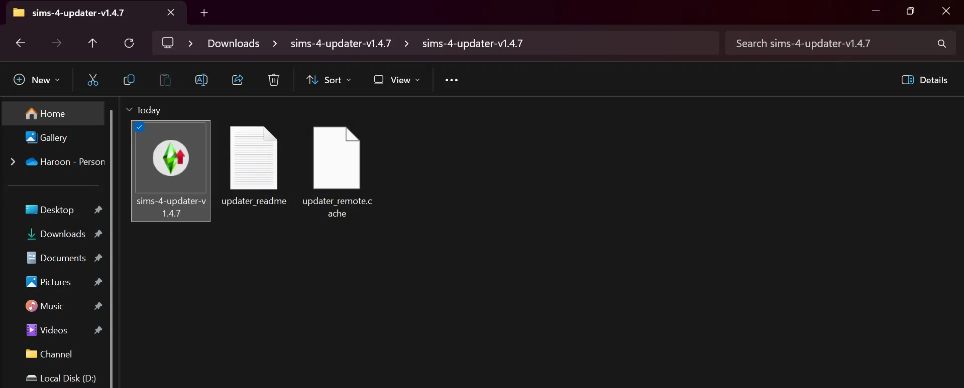 running the .exe file of Anadius