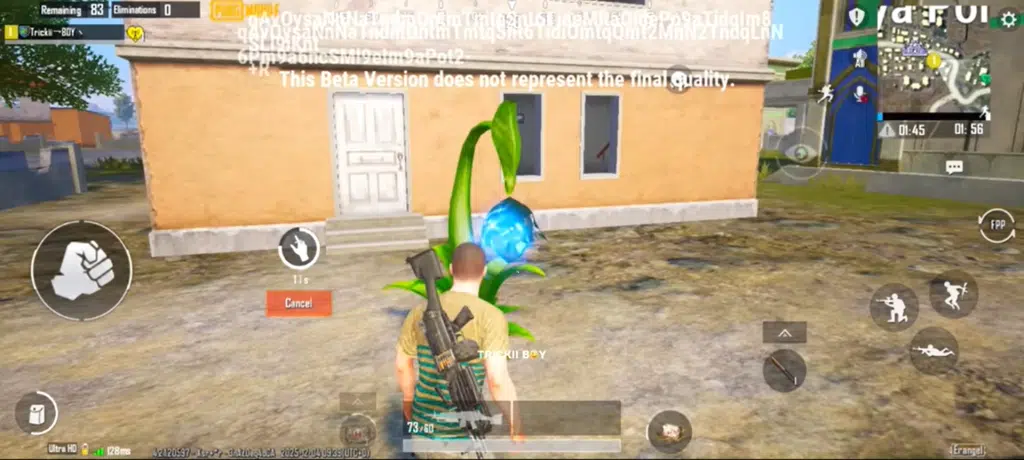 Image of a plant grown from luna fruit bud